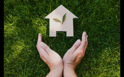 Green and Energy-Efficient Homes: Affordable Sustainability Solutions